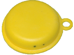 bg cc1 e49920 dph fls main.gif